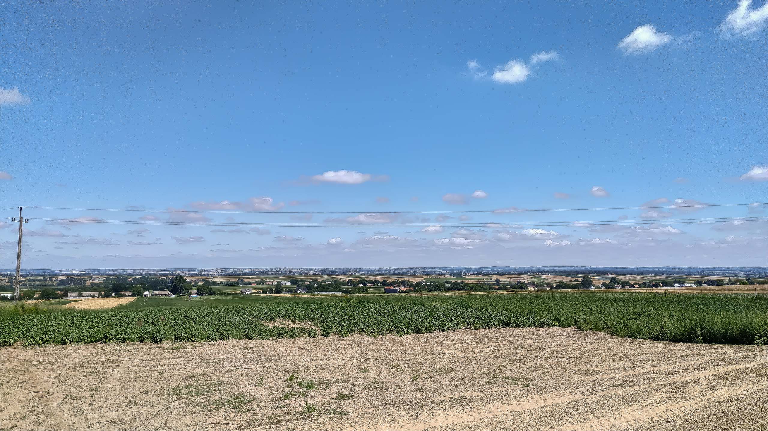 IMG 20200801 114528 kopia